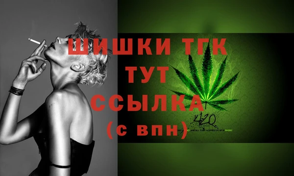 спиды Бородино