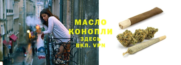 спиды Бородино
