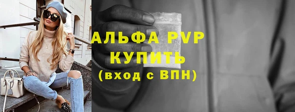 прущие грибы Бронницы
