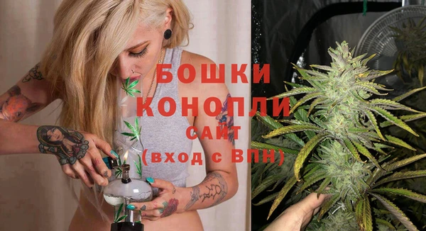 прущие грибы Бронницы