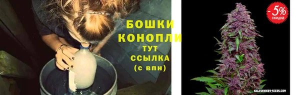 спиды Бородино
