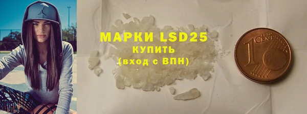 спиды Бородино