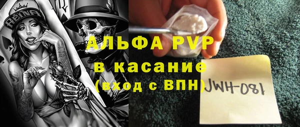 спиды Бородино