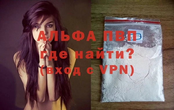 спиды Бородино