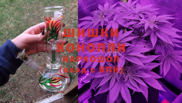 дживик Верея