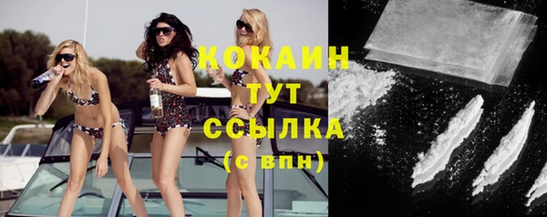 спиды Бородино