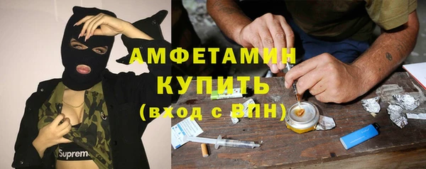 прущие грибы Бронницы
