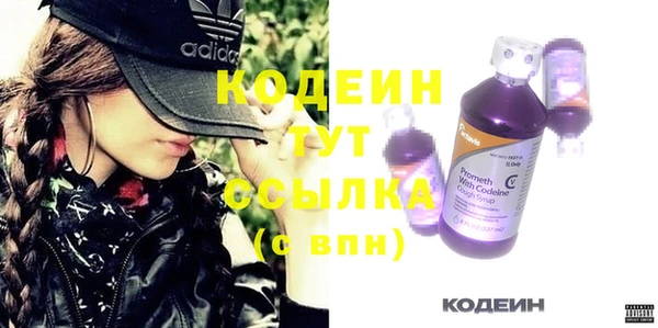 спиды Бородино