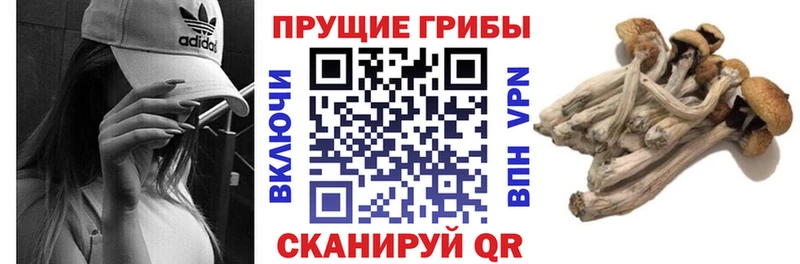 Галлюциногенные грибы мицелий  Одинцово 